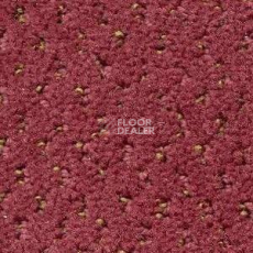 Ковролин Radici Mosaico Melograno 2416 фото 1 | FLOORDEALER